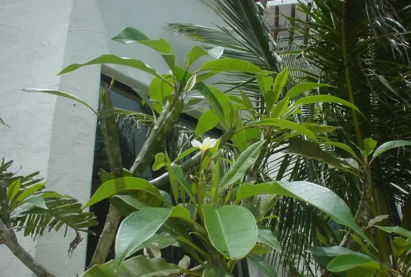 読谷村  好きです！の写真・動画_image_123518