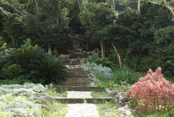 ぬちまーす 観光製塩ファクトリーぬちうなーの写真・動画_image_123539