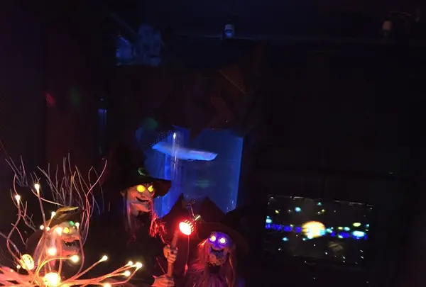 ミステリアス 新宿店の写真・動画_image_123653