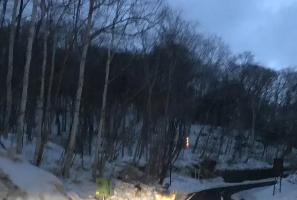 丸駒温泉の写真・動画_image_123691