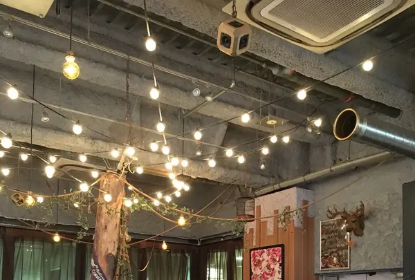 パブリック ハウス PUBLIC HOUSE 渋谷の写真・動画_image_123879