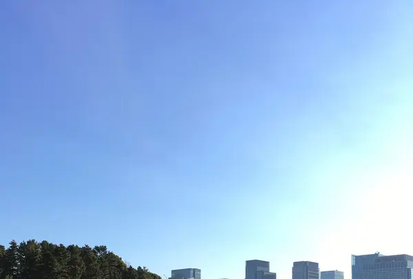 皇居の写真・動画_image_123915