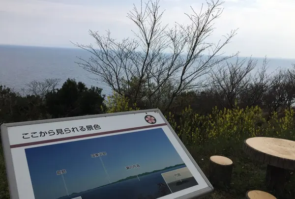 草山公園の写真・動画_image_124036