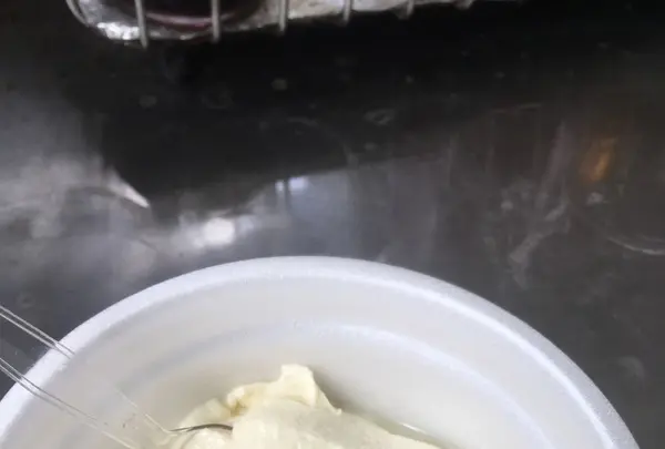 箱根 銀豆腐の写真・動画_image_124063
