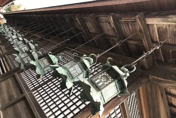 春日大社の写真・動画_image_124182