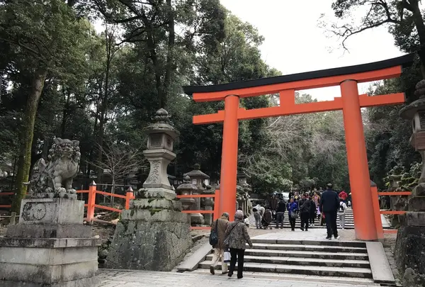 春日大社の写真・動画_image_124184