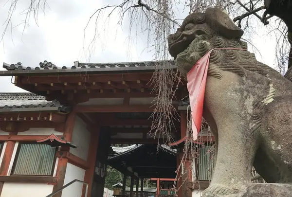氷室神社の写真・動画_image_124186