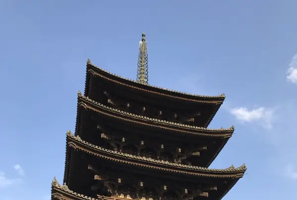 興福寺の写真・動画_image_124201