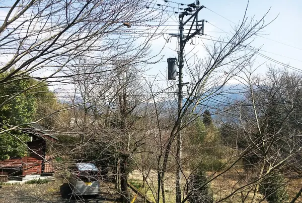 【閉業】あーでんの写真・動画_image_124212