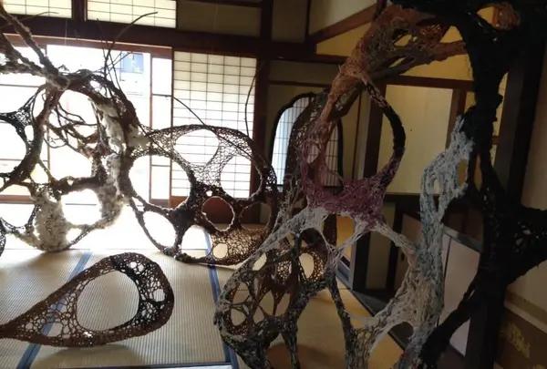 樫舎の写真・動画_image_124225