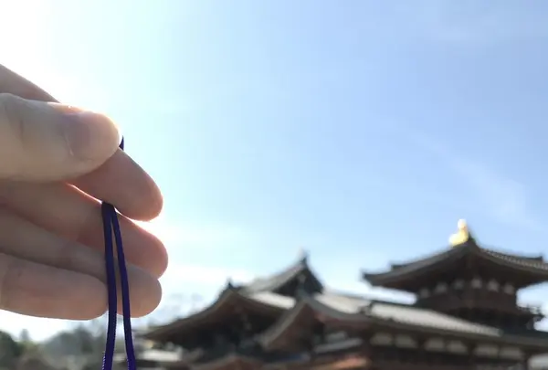 平等院の写真・動画_image_124272