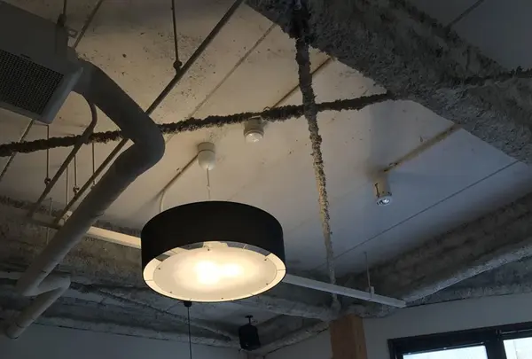 京都ビストロ ピエール プレシウーズの写真・動画_image_124276