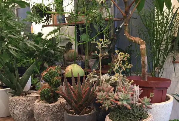 LOCALSTOREの写真・動画_image_124281
