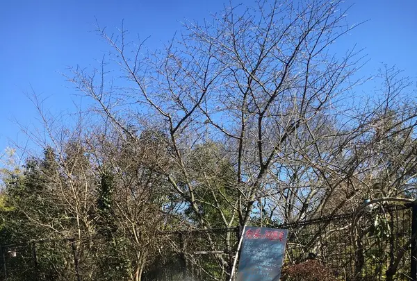 秘湯の宿 奥湯の郷の写真・動画_image_124354