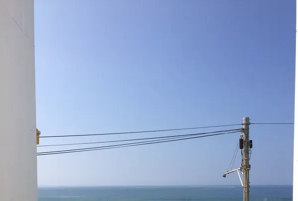 bills 七里ヶ浜の写真・動画_image_124457