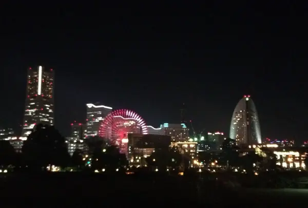 bills横浜赤レンガ倉庫の写真・動画_image_124463