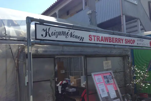 小泉農園ストロベリーショップの写真・動画_image_124587