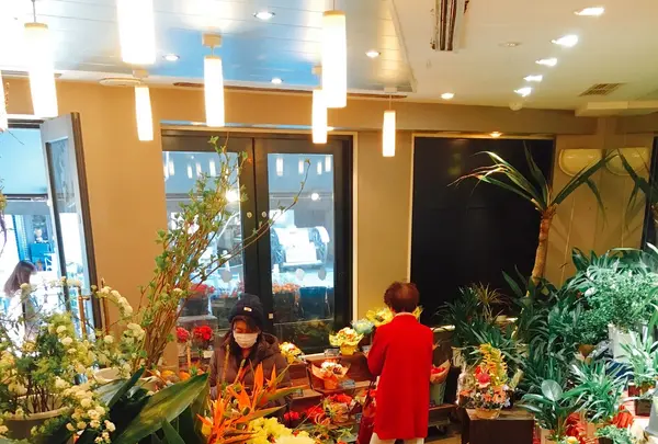 MONCEAU FLEURSの写真・動画_image_124599