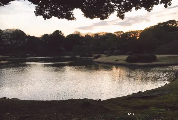 六義園の写真・動画_image_124679