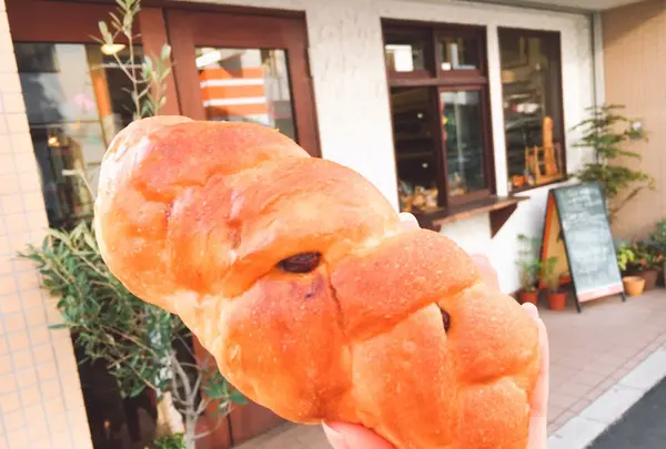 ピニョンの写真・動画_image_124895