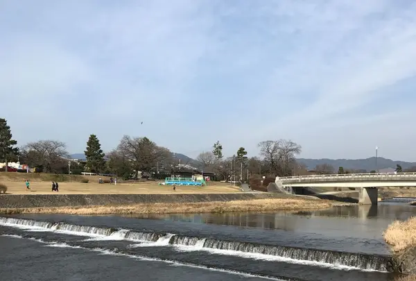 下鴨神社（賀茂御祖神社）の写真・動画_image_124916