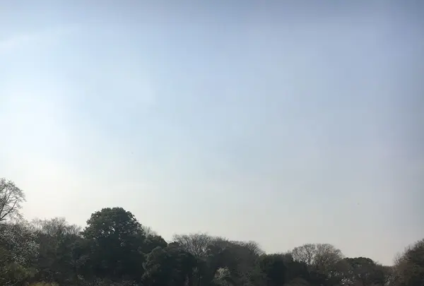 六義園の写真・動画_image_124962