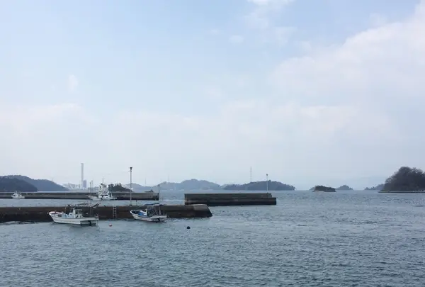 白水港の写真・動画_image_125082