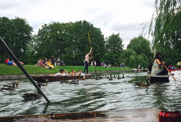 Scudamore's Quayside Punt Hireの写真・動画_image_125225