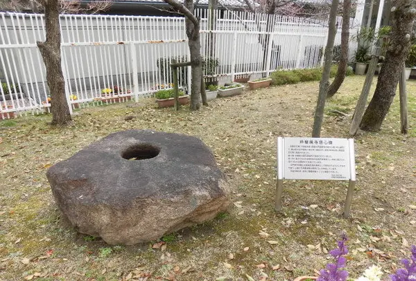 芦屋市立美術博物館の写真・動画_image_125245