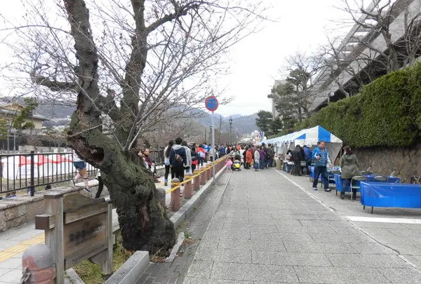 芦屋公園の写真・動画_image_125248