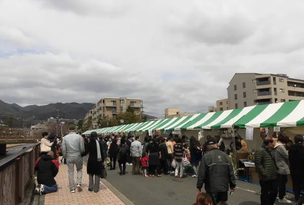 芦屋公園の写真・動画_image_125252