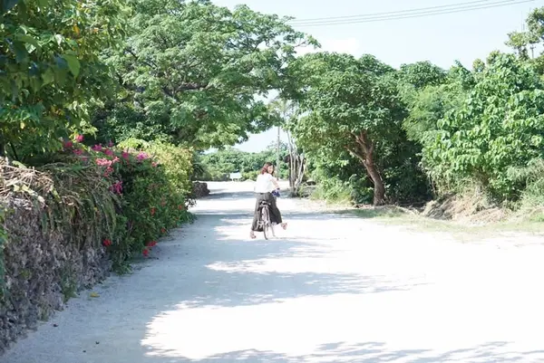 新田観光の写真・動画_image_125284