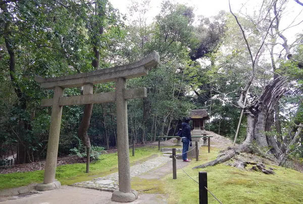 岡山後楽園の写真・動画_image_125363