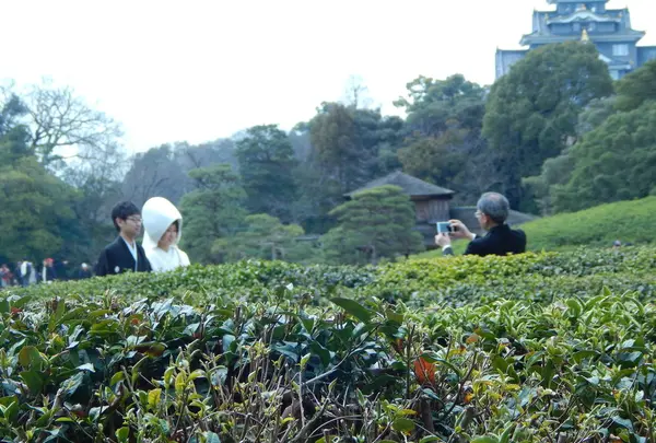 岡山後楽園 福田茶屋の写真・動画_image_125375