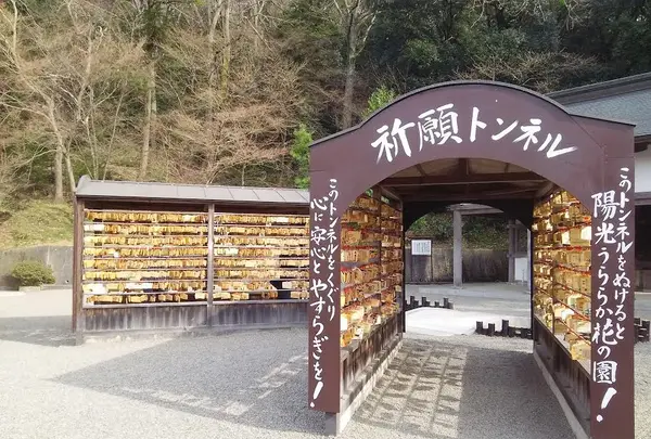 吉備津神社の写真・動画_image_125396