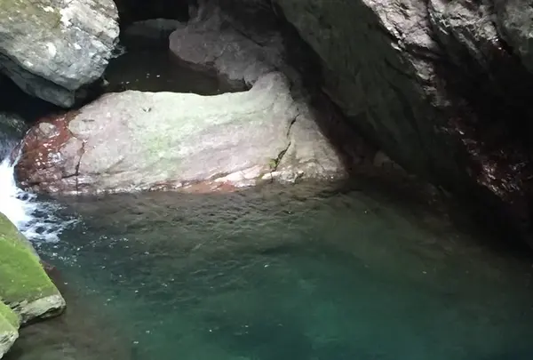 中津渓谷の写真・動画_image_125461