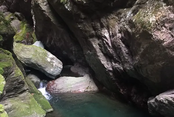 中津渓谷の写真・動画_image_125462