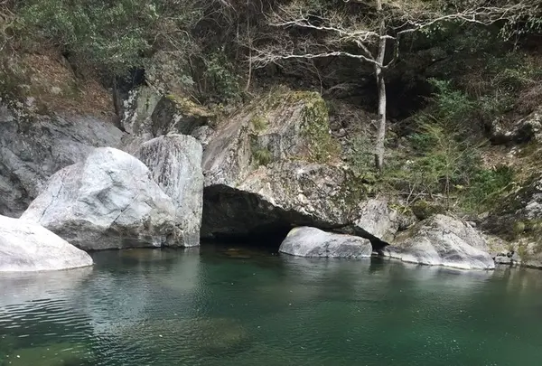 中津渓谷の写真・動画_image_125463