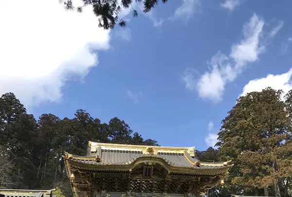 日光東照宮の写真・動画_image_125484