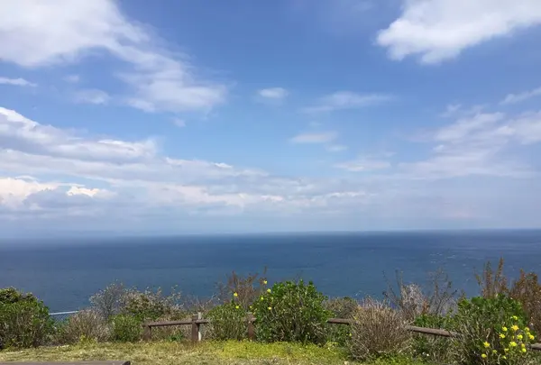 関崎海星館の写真・動画_image_125539