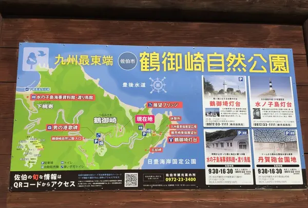 鶴御崎燈台(旧海軍望楼跡)の写真・動画_image_125544