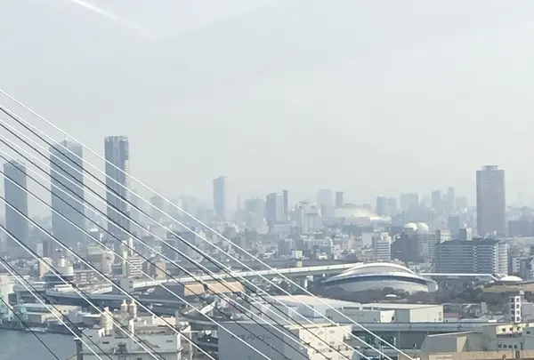 天保山大観覧車の写真・動画_image_125610