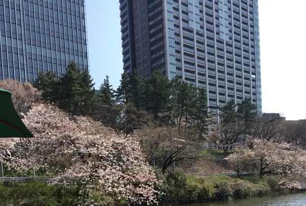 CANAL CAFE（カナルカフェ）の写真・動画_image_125769