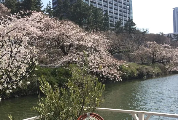 CANAL CAFE（カナルカフェ）の写真・動画_image_125772
