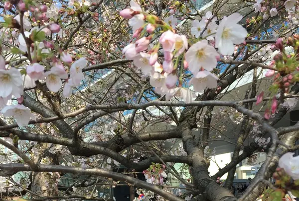 外濠公園の写真・動画_image_125781