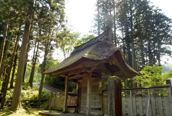 林泉寺の写真・動画_image_125826