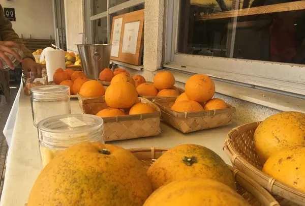 forumiest table（旧：立花食堂）の写真・動画_image_126046