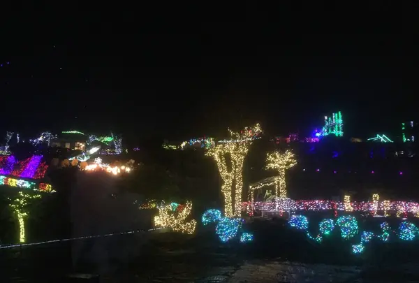 伊豆ぐらんぱる公園の写真・動画_image_126056