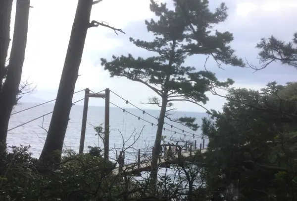 城ヶ崎海岸の写真・動画_image_126061