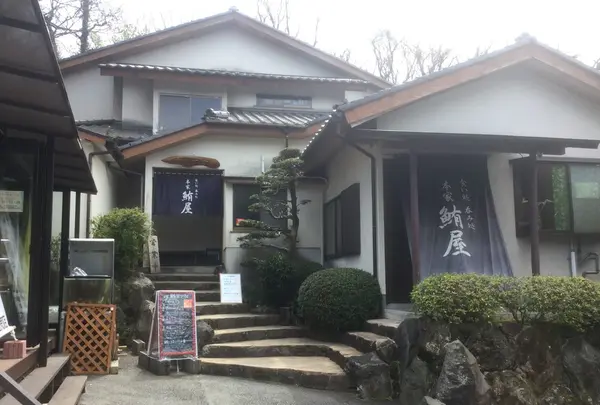 鮪と地魚の和食処　本家鮪屋の写真・動画_image_126064